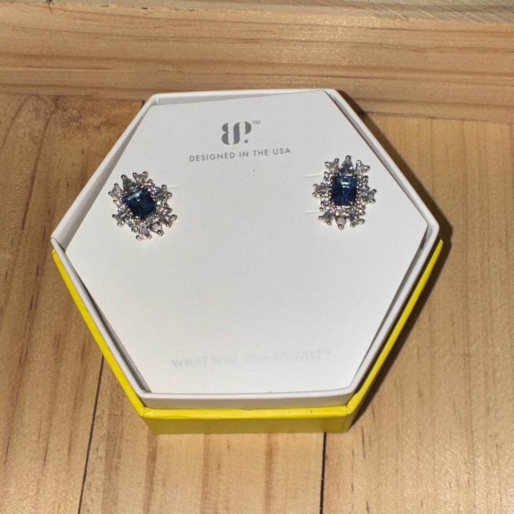 BP Blue and Silver Earrings